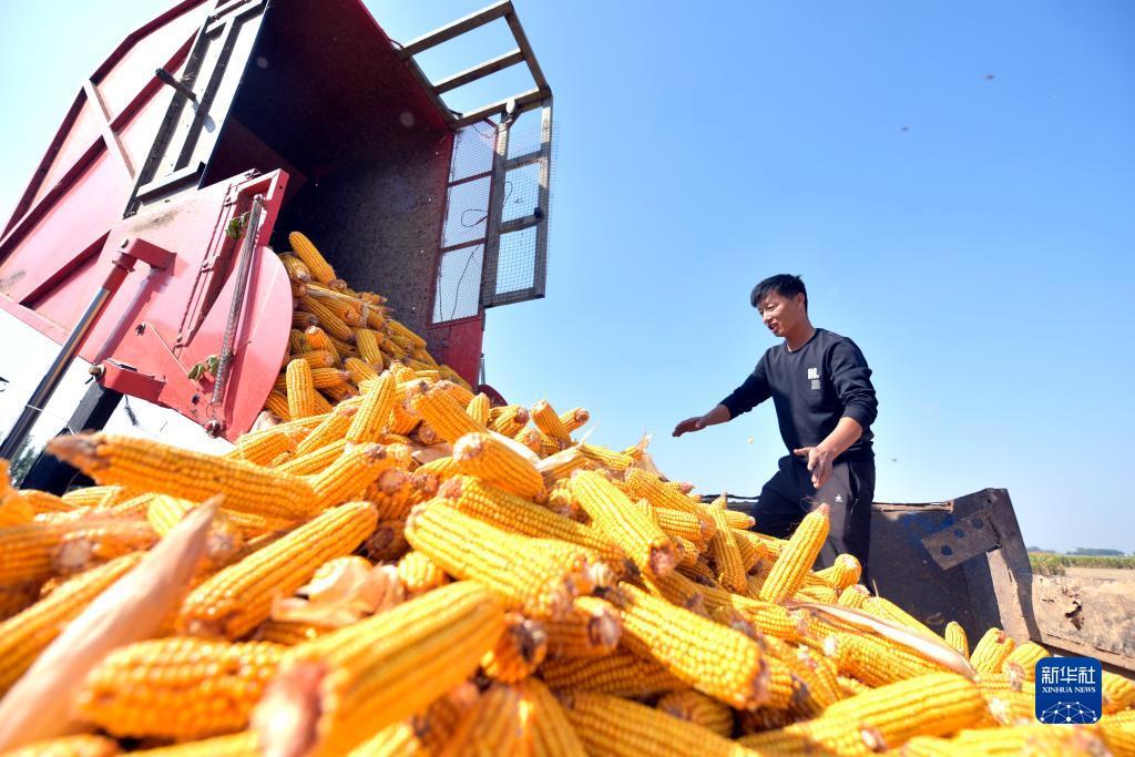 苹果老虎机怎么破解方法